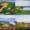 Pebble Beach Scenic Placemat Set Of 4